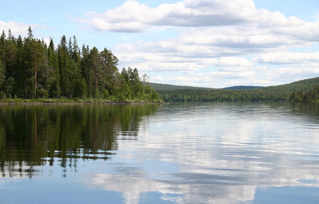 Kesäinen järvimaisema. Järven takana on vehreää metsää.