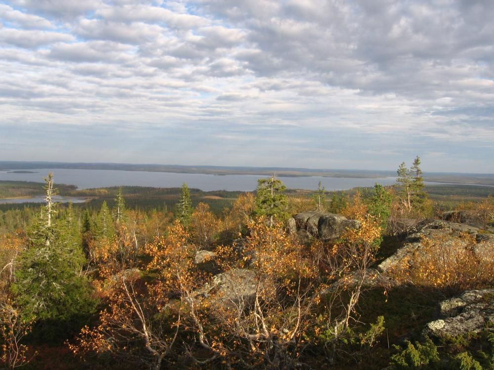 Syksyinen maisema mäen huipulta. Kaukana horisontissa on iso järvi.