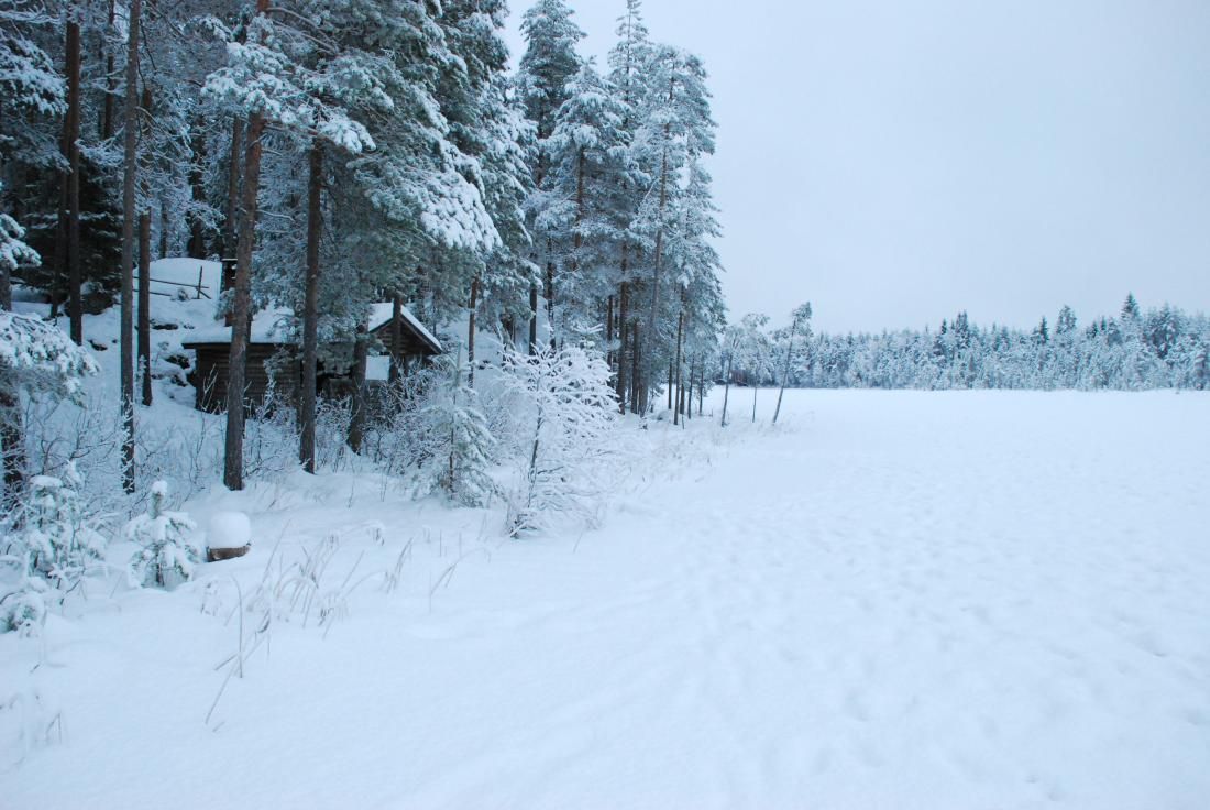There is a lean-to shelter by the pond. The pond is frozen, and there is snow on the ice and the trees. The sky is cloudy.