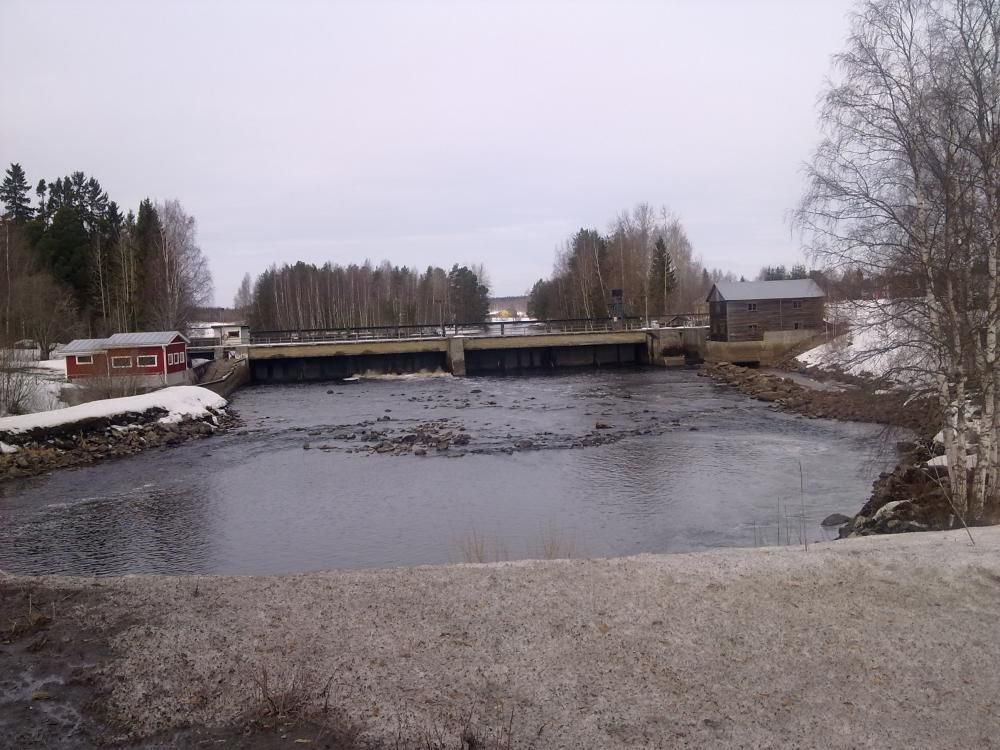 Viannankoski i förgrunden och dammen i bakgrunden.