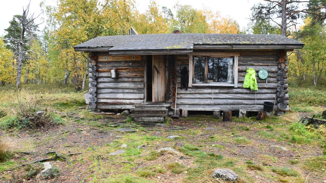 Hirsinen tupa metsässä.