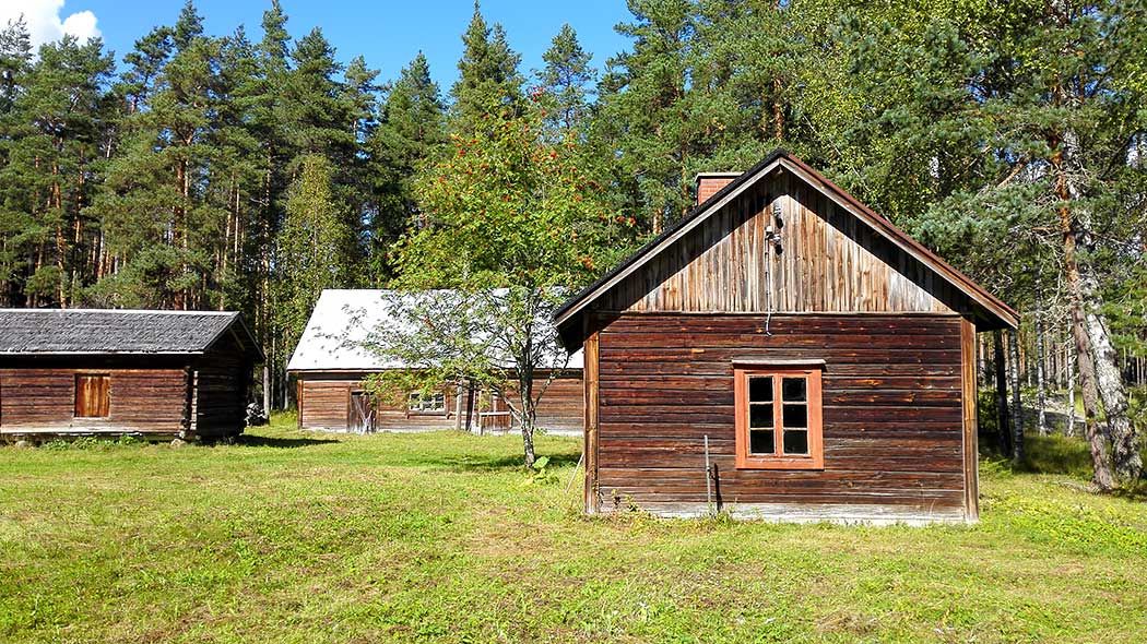 Three old, wooden buildings in the yard of the rental hut. A forest in the background.