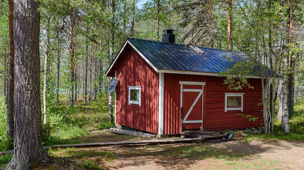 En bastu med träd runtomkring. Bakom träden skymtar vatten.