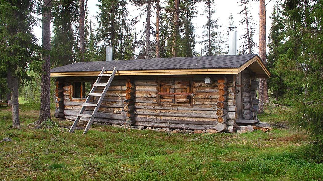 Matala hirsirakennus suurien kilpikaarnamäntyjen ympäröimänä kesäaikaan.