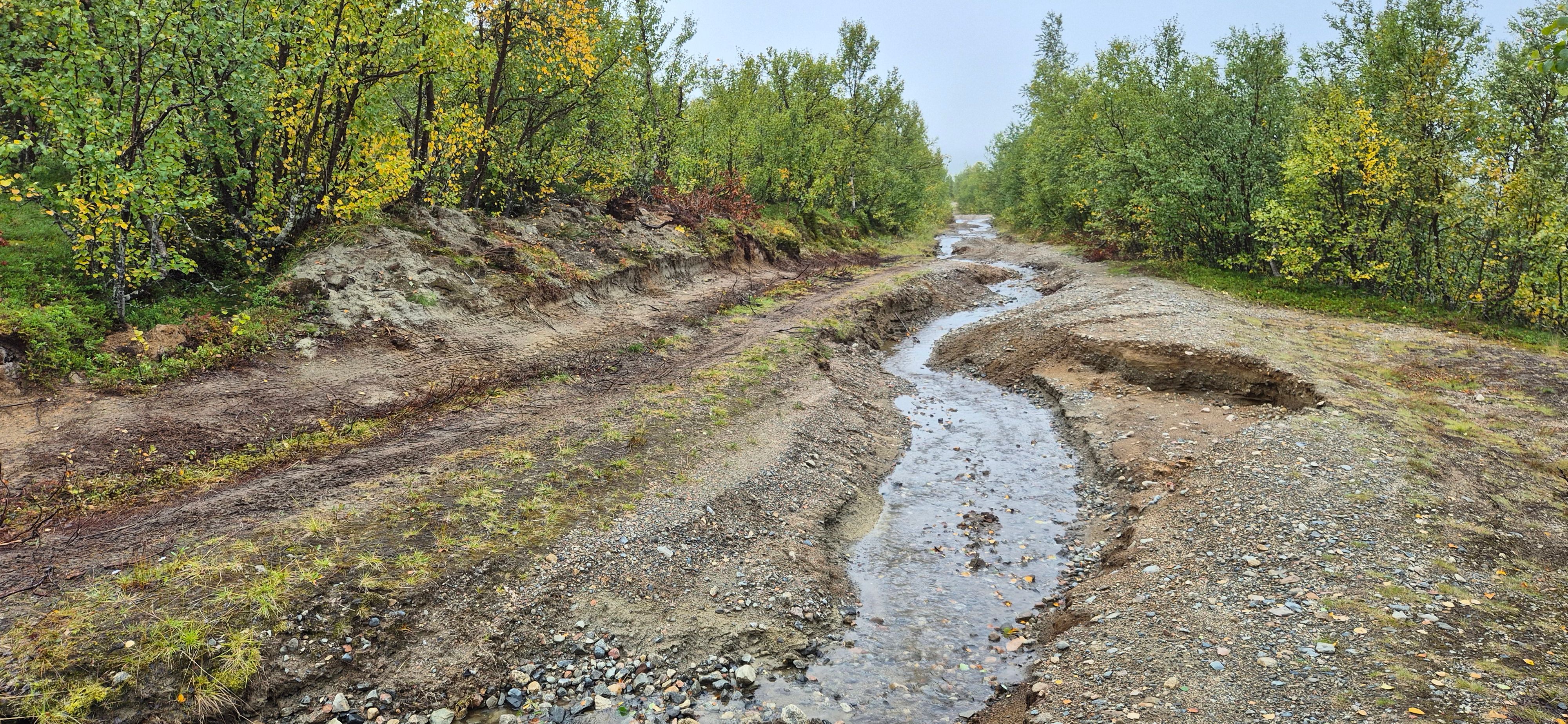Metsätie, johon vesi on syönyt syviä uria.