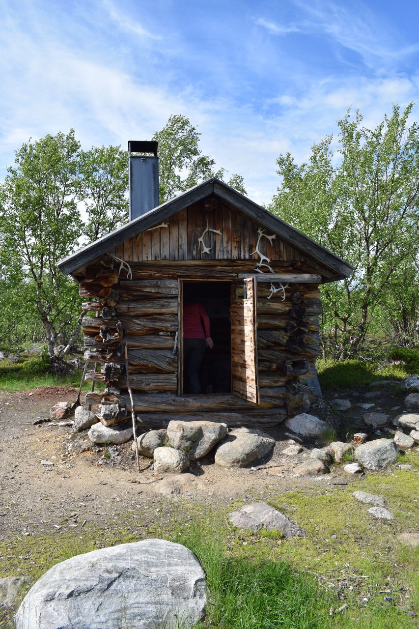 A wooden cabin with an open door. Next to the doorway, there are reindeer antlers on the cabin wall. Birch trees are growing behind the cabin.