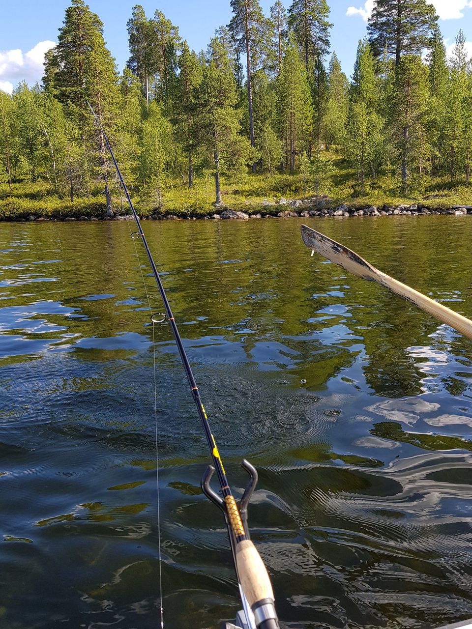 In the foreground, a fishing rod and an oar, in the background, water and a forested shore.