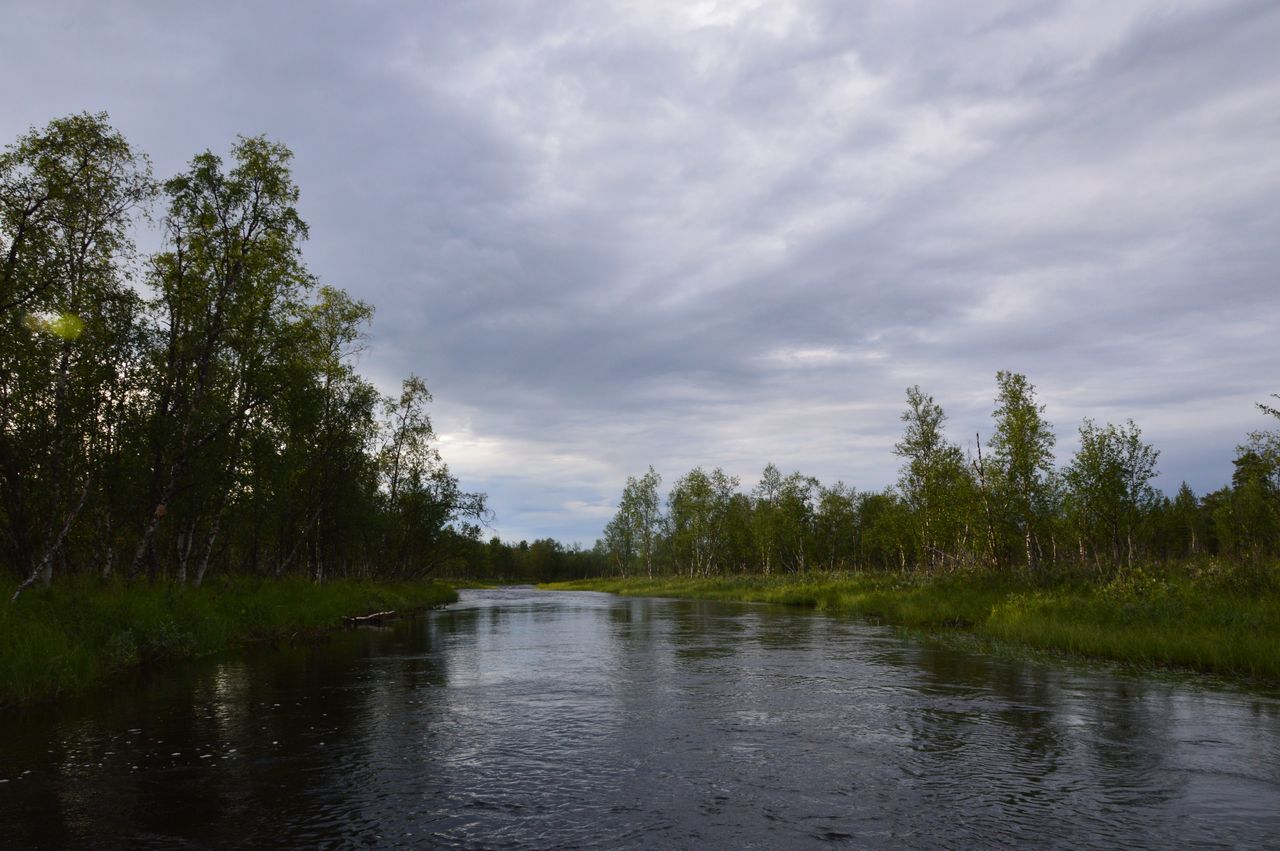 Kesäinen jokimaisema. Rannoilla kasvaa koivikkoa ja taivas on pilvinen.