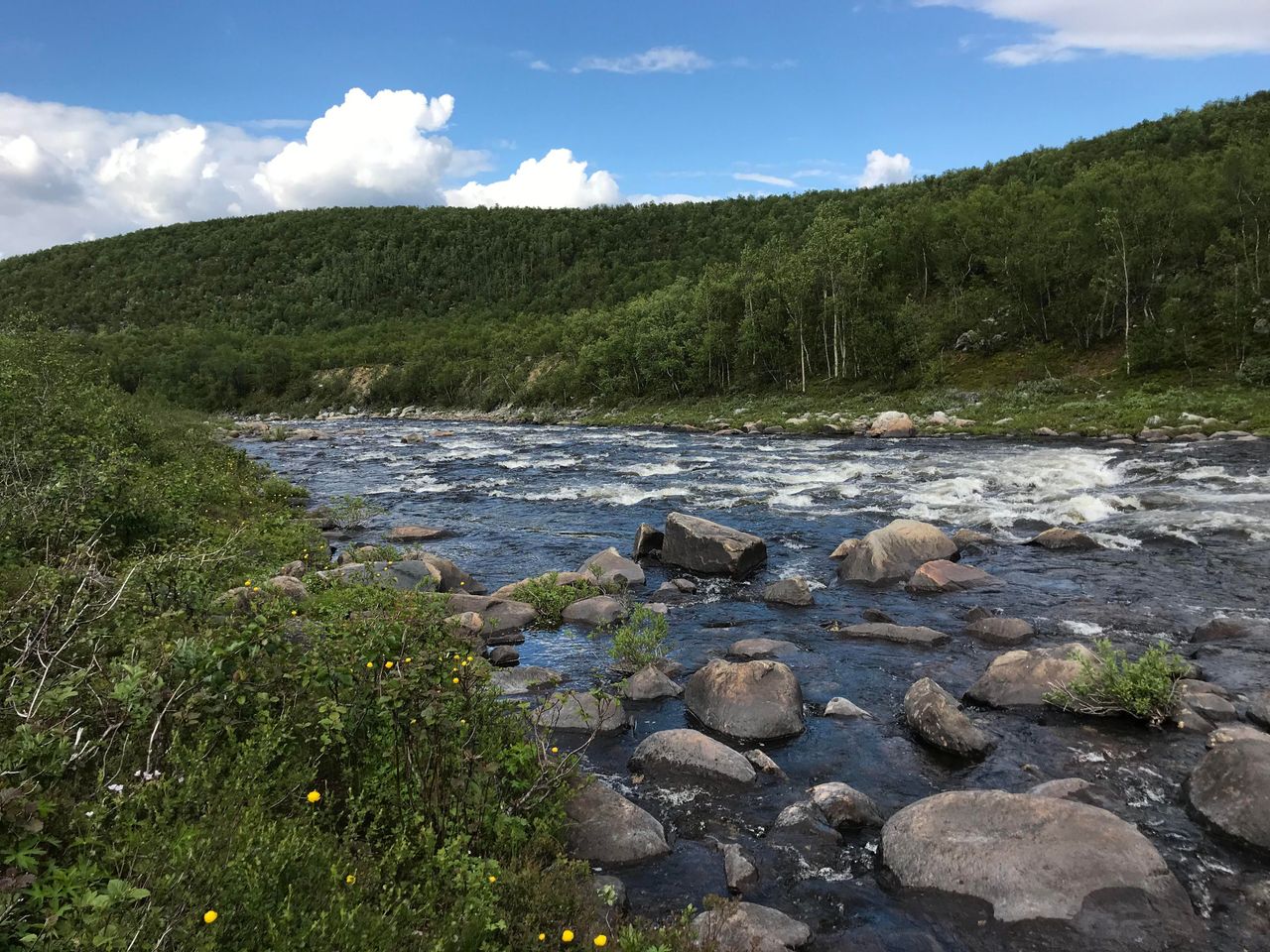 Virtaava kivikkoinen joki, taustalla vehreää metsää. 