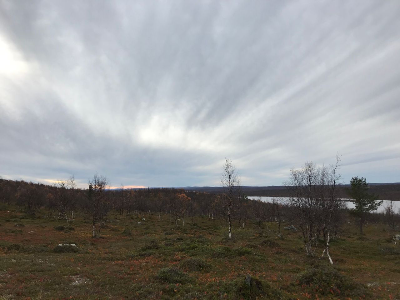 Fjällandskap. Låg björkskog och vatten syns i bakgrunden. Himlen är molnig.