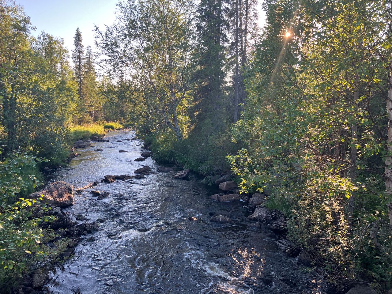 Kivinen pienehkö joki virtaa lehtimetsän läpi. Aurinko paistaa ja heijastuu puihin.