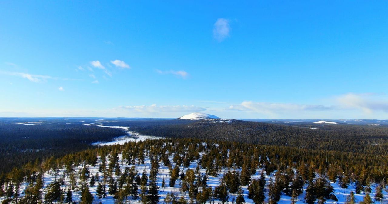 An aerial view showing a forest and a fell in the distance. There is no snow on the trees, but the ground is white. The sun is shining from a blue sky.