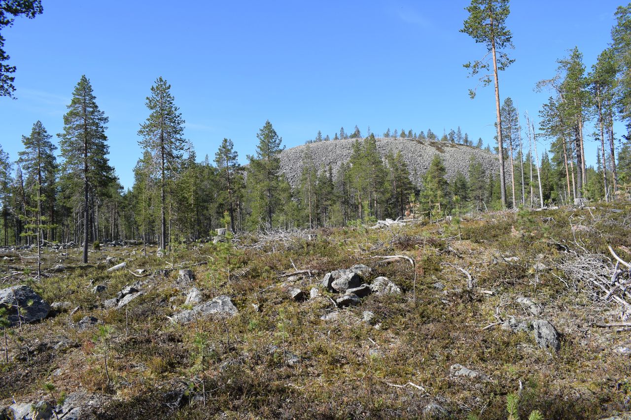 Aukea paikka, jonka takana on metsää ja kivikkoinen korkea mäen huippu.