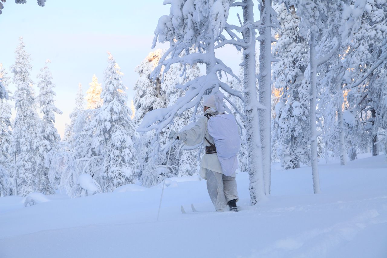 Metsästäjä hiihtää valkoisessa asussaan talvisessa maisemassa.