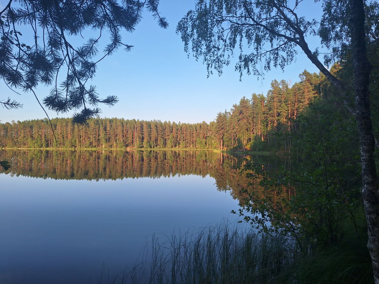 Tyyni järvimaisema. Taustalla kumpuilevaa metsää.