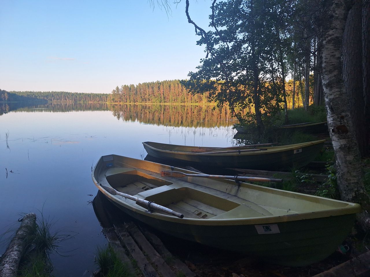 Tyyni järvimaisema. Etualalla rannalle vedettyjä soutuveneitä.
