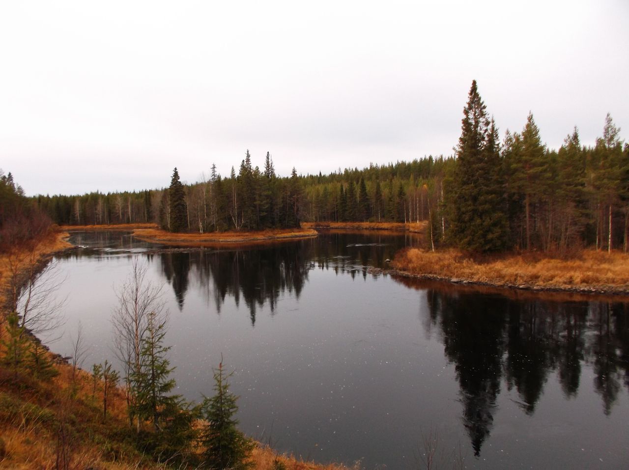 An autumn river landscape. The water surface is calm and dark, the sky is cloudy.
