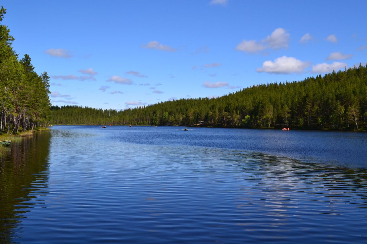 A calm lake, the sun is shining from a blue sky.