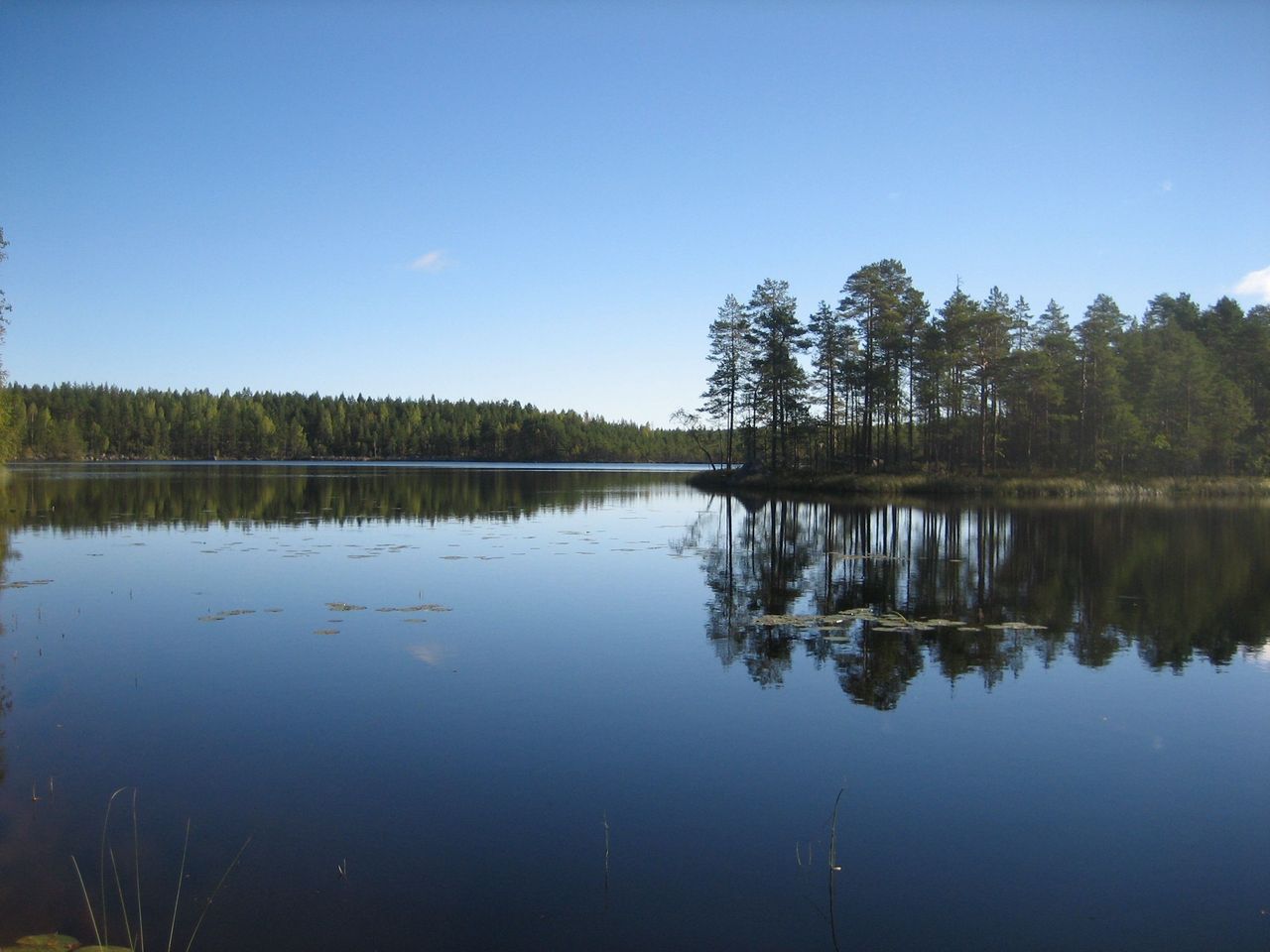A calm summer lake view. The sun is shining from a blue sky.