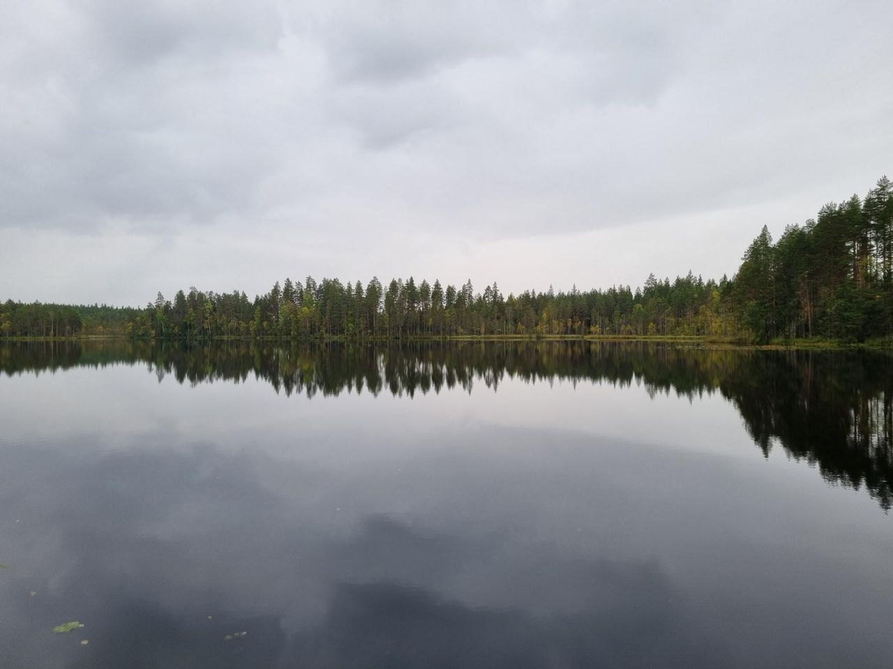 A mirror-like lake reflecting the forests growing on the shores. The sky is cloudy.