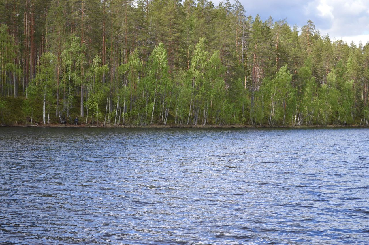 Järvimaisema