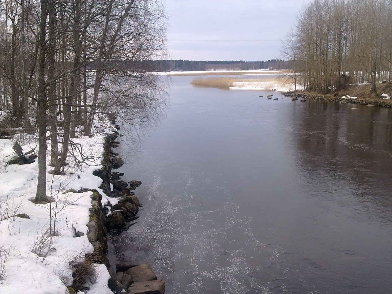Ett vinterlandskap med den nedre delen av Viannankoski som flyter i mitten. Det finns bladlösa träd på slätten och snö på marken.