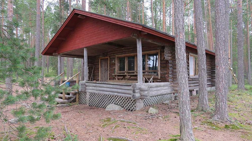 Hirsinen tupa kesäisessä mäntymetsässä.