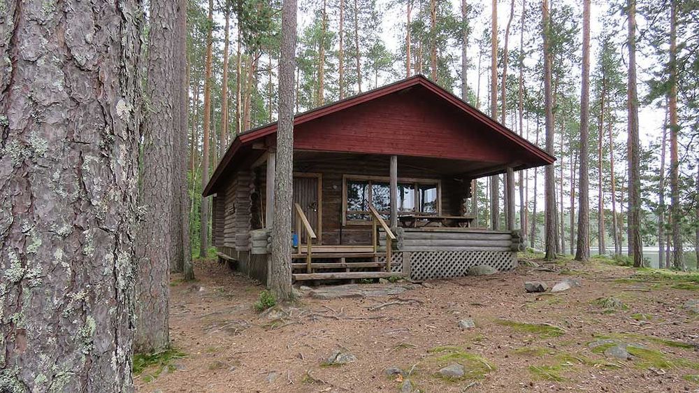 Hirsinen vuokratupa kesäisessä mäntymetsässä. Metsän läpi siintää järvi.